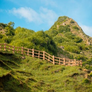 关之琳色情黄色
