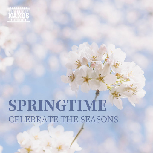 关之琳色情黄色
