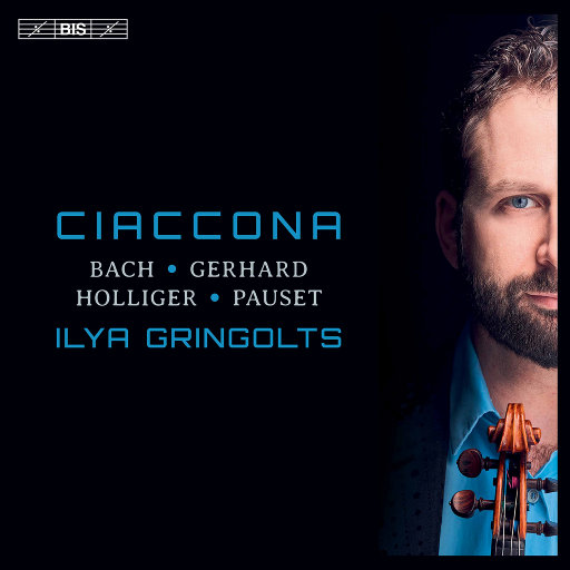 关之琳色情黄色
